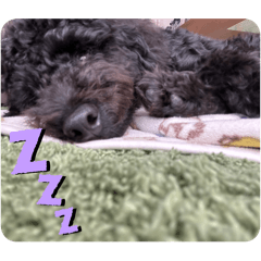 serinunn_20260416233630