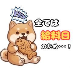 Funimaru is Shatiku.