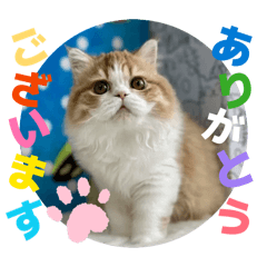 Shigeyuki koketsu_20260416204105