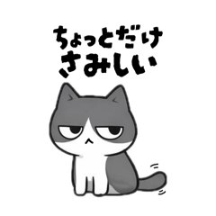 a_cobs_20260416203951