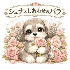 Schnauzer and Roses of Happiness