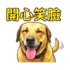 阿橋的日常(可愛篇)