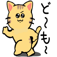Cute Naughty Cat Daily Stickers