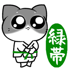 Me Uluru Shorinji Kenpo Green Belt