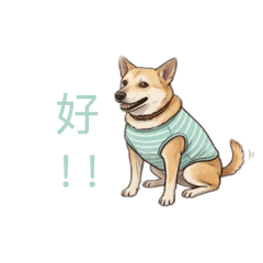 嘿比&大發的共享日常生活