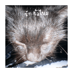 buymetee_20260416235001