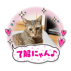 ringflower_20260413195640