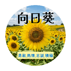 花與花語-第1版