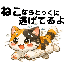 abemaru_nekonekomamire