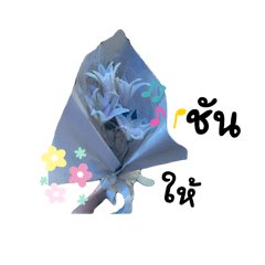 nong prim_20260417112710