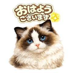 每天都能用的可愛布偶貓①