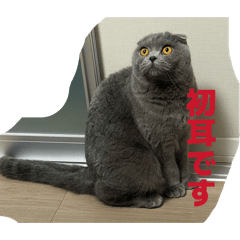 shimada_20260417110904
