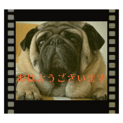 chie_20260417111011