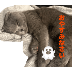 shimada_20260417111218