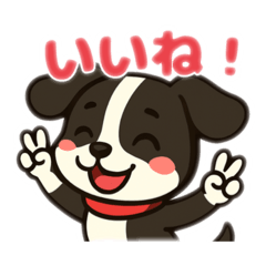 Cute border collie polite stickers