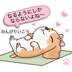 Muffin the Beagle 10