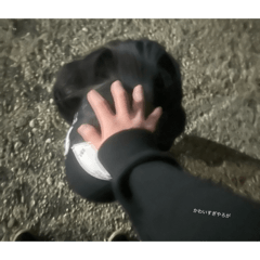 genshin_20260414004347