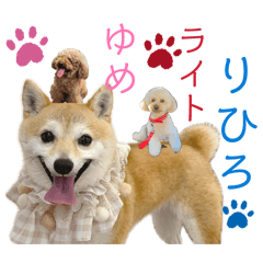 R_20260417195210