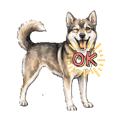 etuko_20260417140052