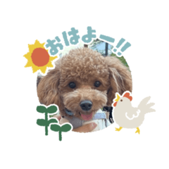 tamumi_20260417142105