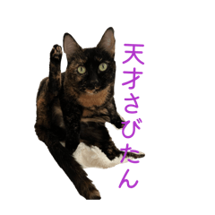Keigo_20260417143653
