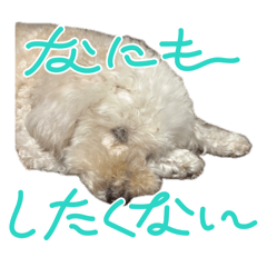 mo___ririn_20260417160240