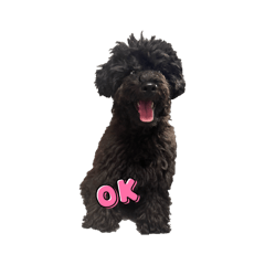 tomomi_20260417172105