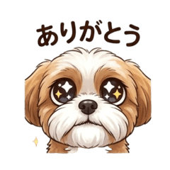 SARA0724_20260417193940