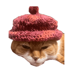 nekosan_20260417150025