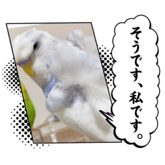 kasu_20260417153128