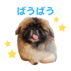 hamichan_20260417200414