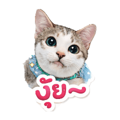 noonanueng_20260416205315