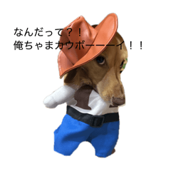 kusuo_20260417125838