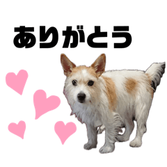 komaki_20260417125810