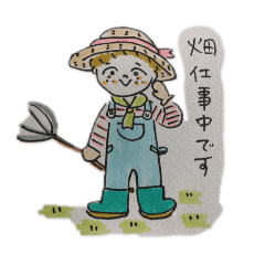 momo's diary_20260417172045