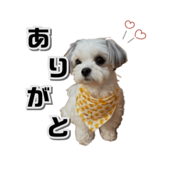 Krn_20260417172647