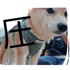 koko_20260417173202