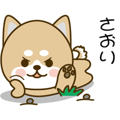 Shiba inu Sticker 015