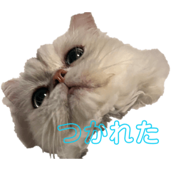 makoto_20260417182638