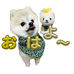 miyuu_20260417204211