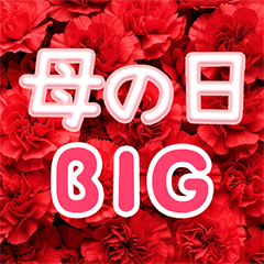 Mother's day - Flowers & Miniature style