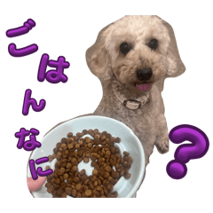 kuuuya_20260417190122