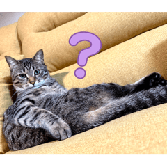 nonono_20260417190950