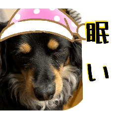 himazin_20260417194323