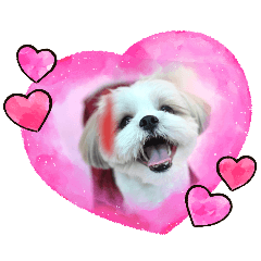 Asakura_20260417194450