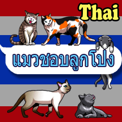 Cats love balloon(Thai)