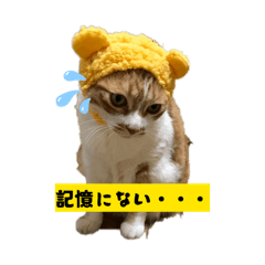 kurotomo_20260417194524