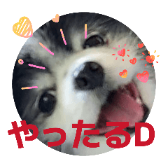 setsu_20260417213403