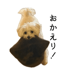 sa_chan_20260417220423