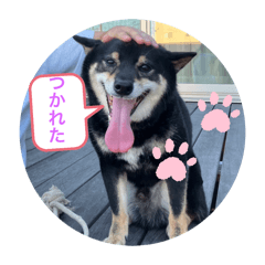 ichimaru_20260417220629